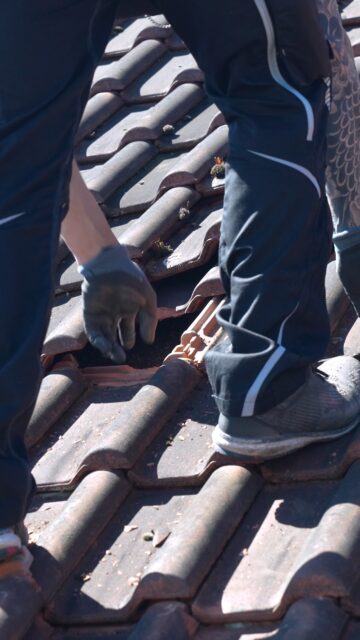 So sieht ein Tag auf unserer Baustelle aus. 🔧
Vorbereitung, Abstimmung, Umsetzung. Schritt für Schritt zur fertigen Anlage.
#EnergyHome #Photovoltaik #Wadern