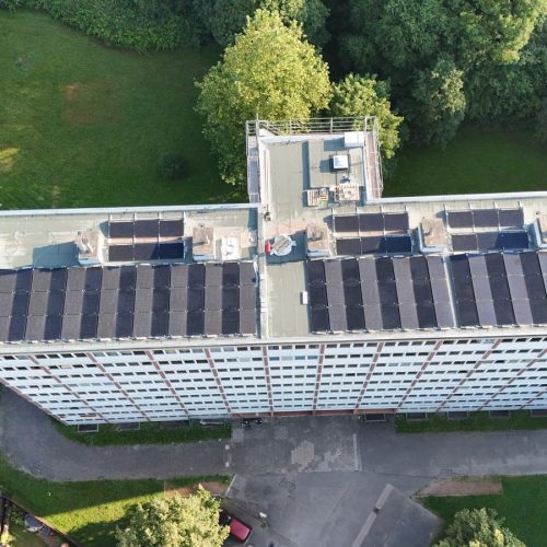 PHOTO-2024-11-21-11-08-15